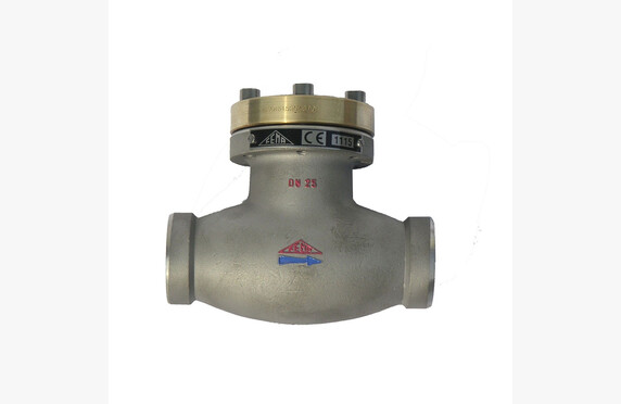 Non-return valves